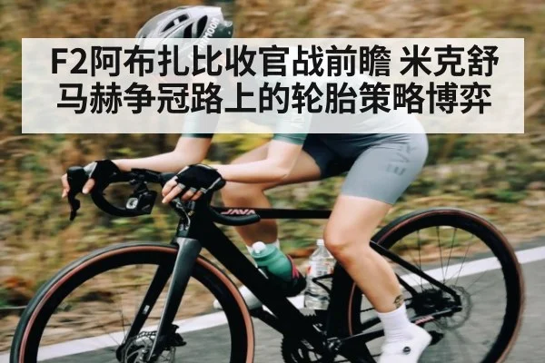 F2阿布扎比收官战前瞻 米克舒马赫争冠路上的轮胎策略博弈